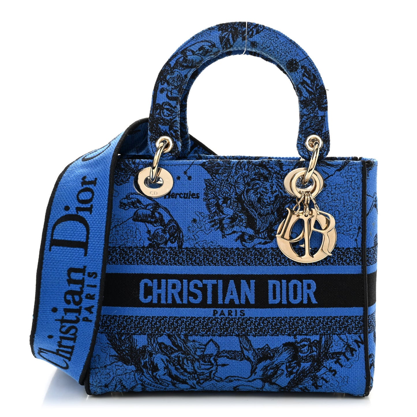 Canvas Toile de Jouy Zodiac Embroidered Medium Lady D-Lite Blue