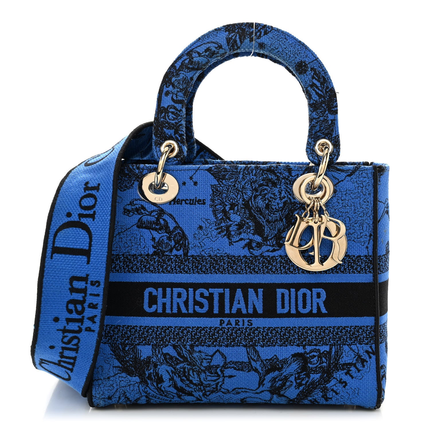 Christian Dior Canvas Toile de Jouy Zodiac Embroidered Medium Lady D-Lite Blue 1 of 11
