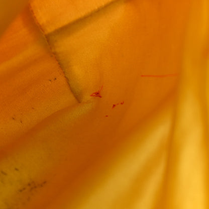 Fendi Raffia Calfskin Tote 12 of 12