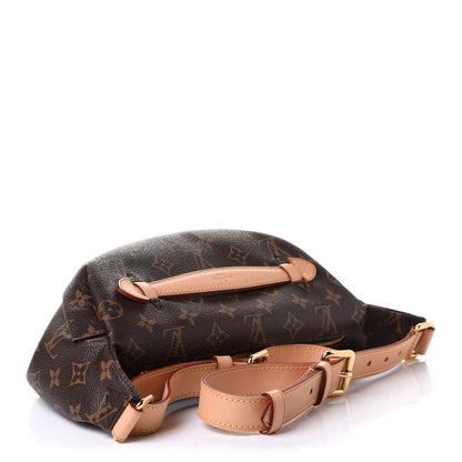 Louis Vuitton Monogram Bumbag 4 of 14