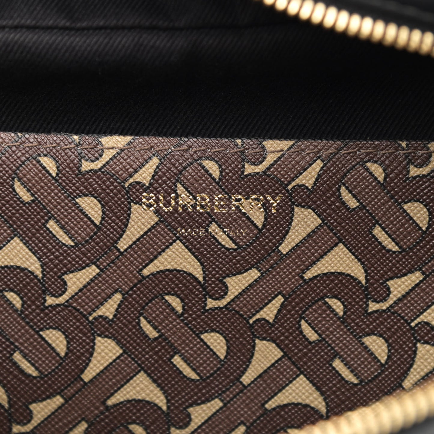 E-Canvas Monogram Stripe Medium Sonny Bum Bag Bridle Brown