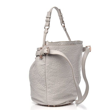 Alexander Wang Pebbled Lambskin Diego Bucket Bag Oyster 3 of 10