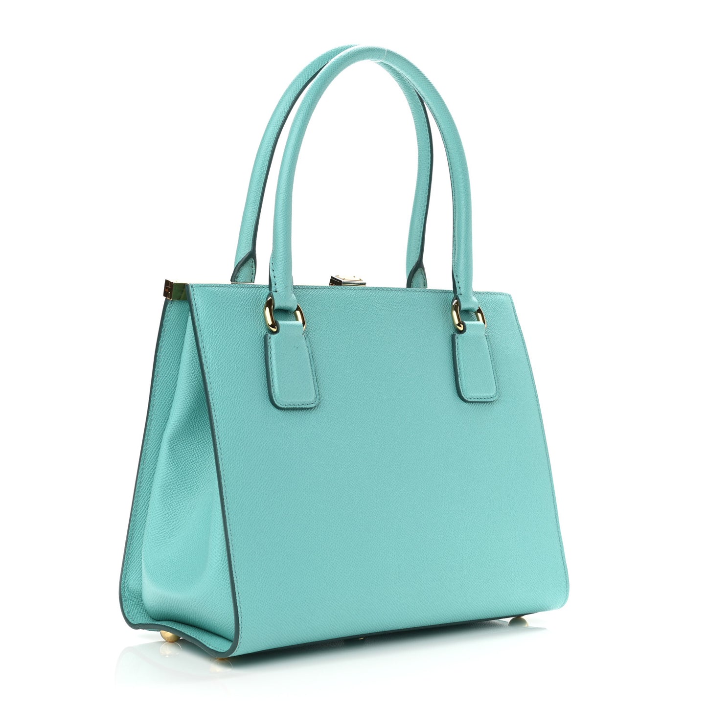 Dauphine Medium Frame Tote
