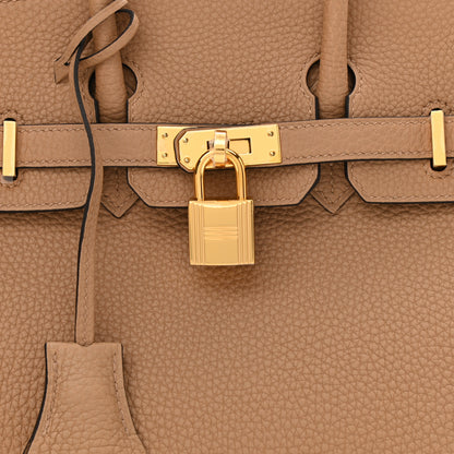 Hermes Togo Birkin 25 Chai 8 of 11