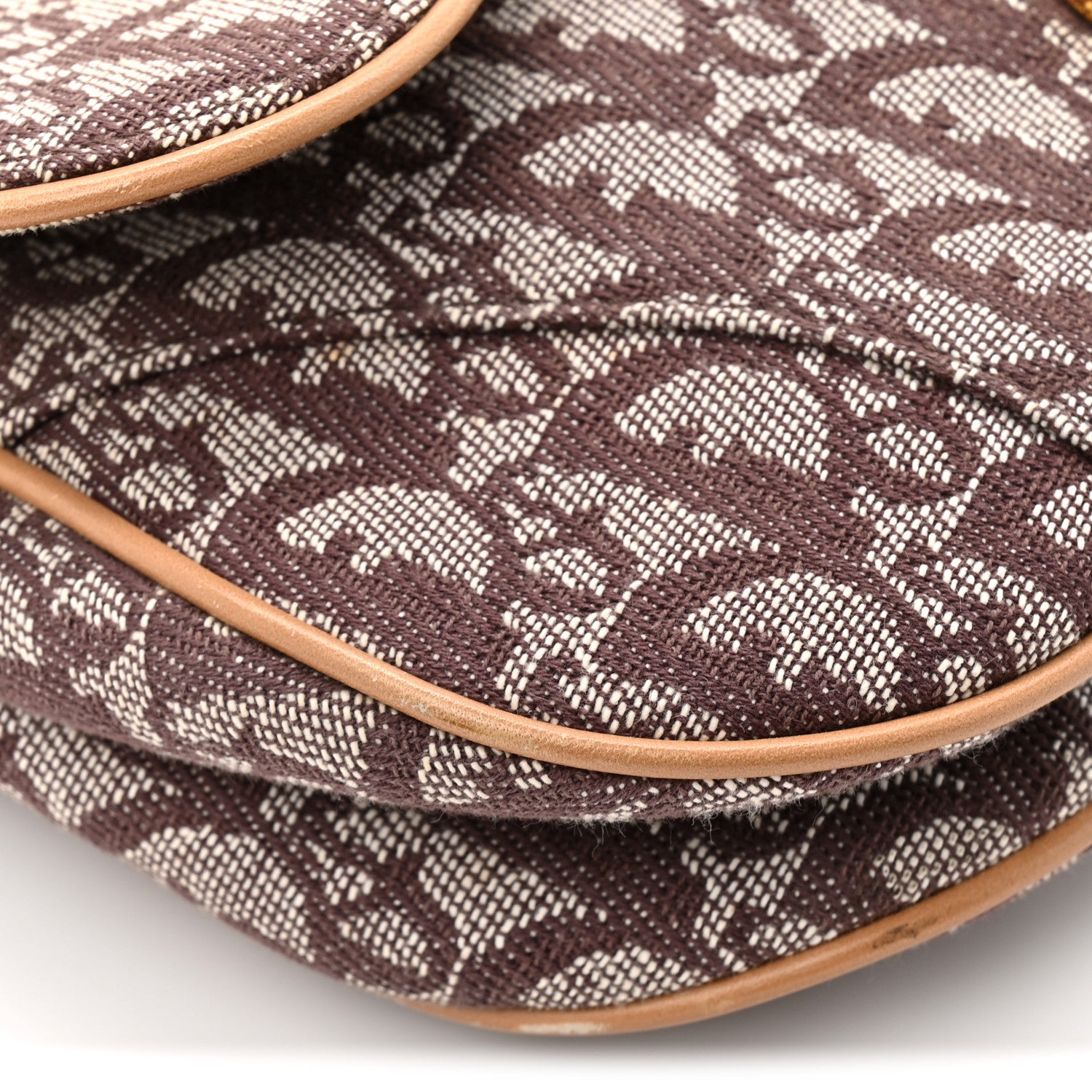 Christian Dior Monogram Double Saddle Bag Brown 14 of 17