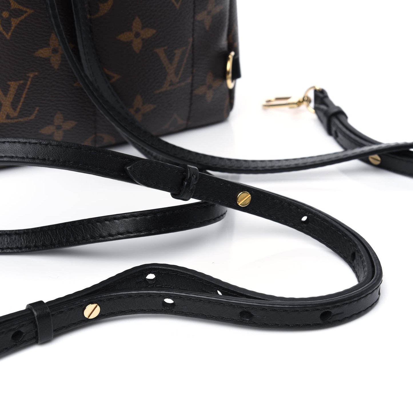 Monogram Palm Springs Backpack Mini