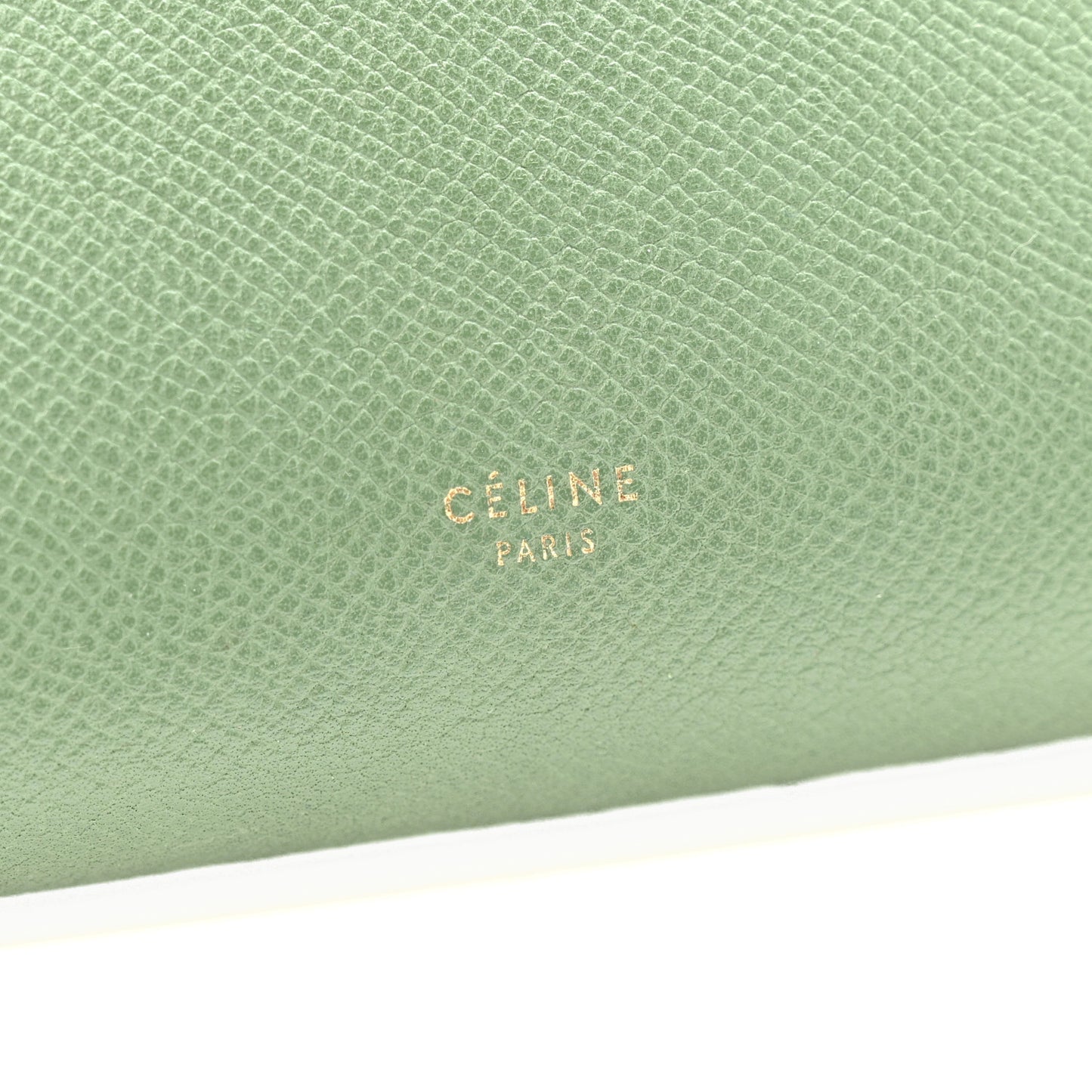 Grained Calfskin Mini Belt Bag Mint