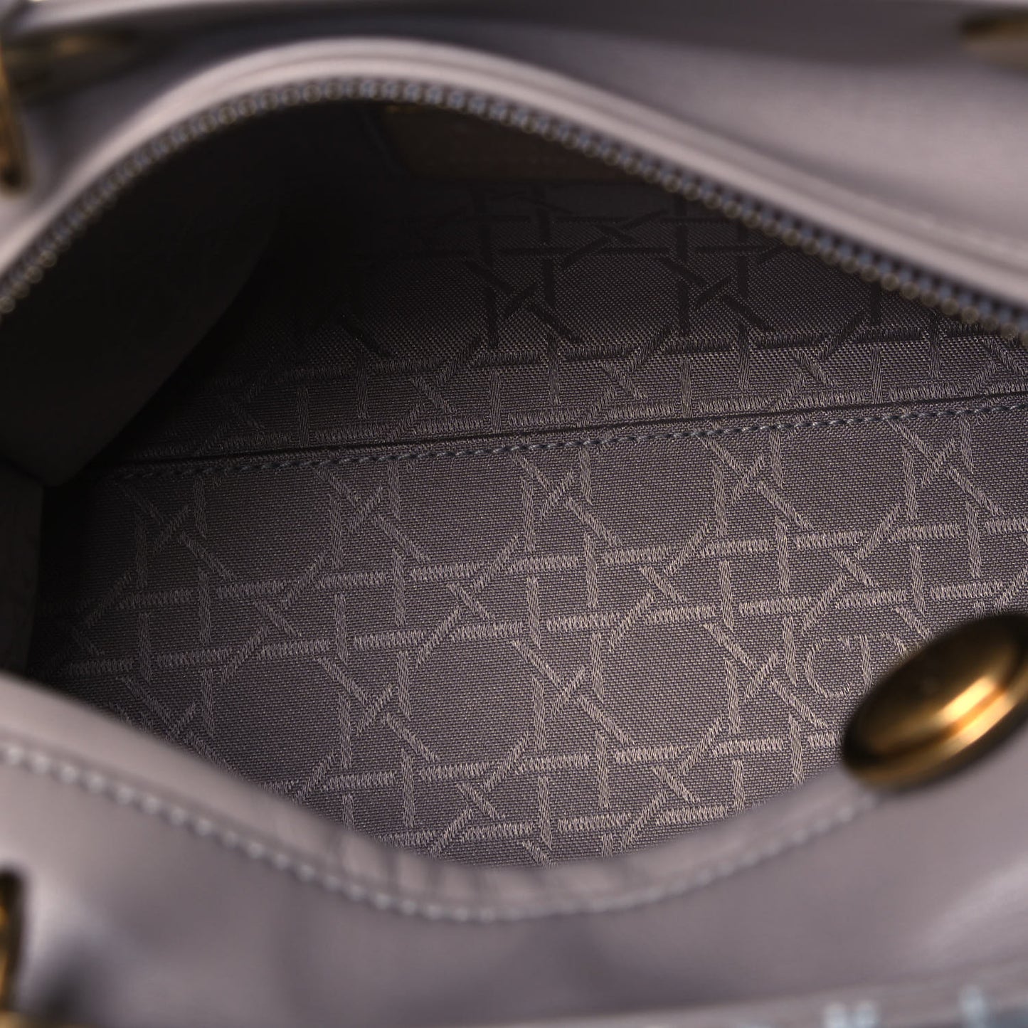 Lambskin Embroidered David Wiseman Medium Art Lady Dior Light Grey
