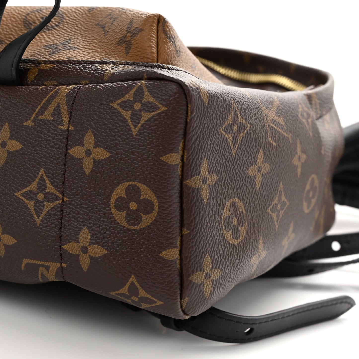 LOUIS VUITTON Reverse Monogram Palm Springs Backpack PM