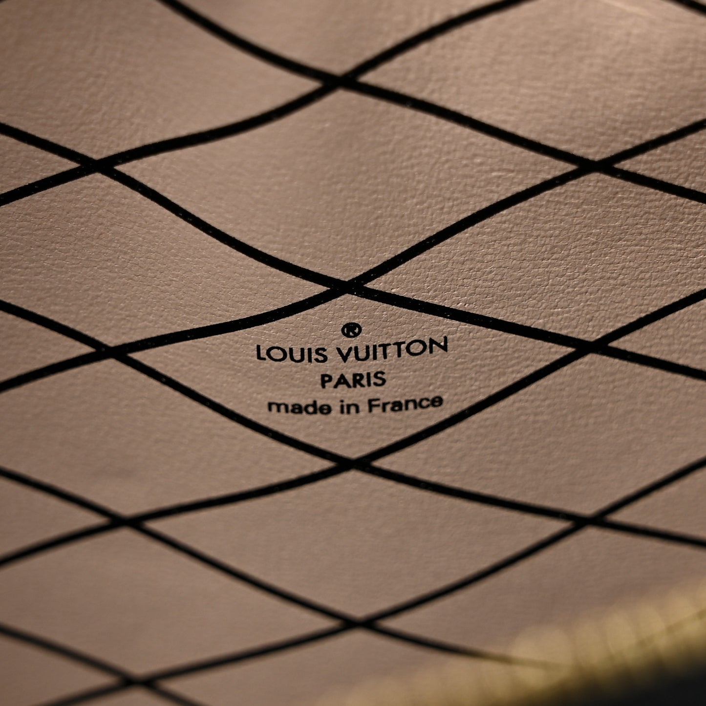 Reverse Monogram Trunk Clutch