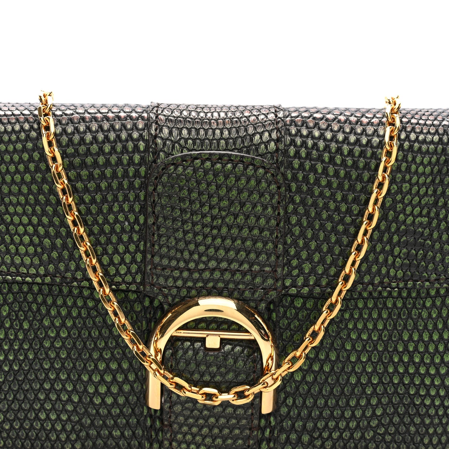 Iridescent Lizard Calfskin Brillant Wallet On Chain Ebene Kaki