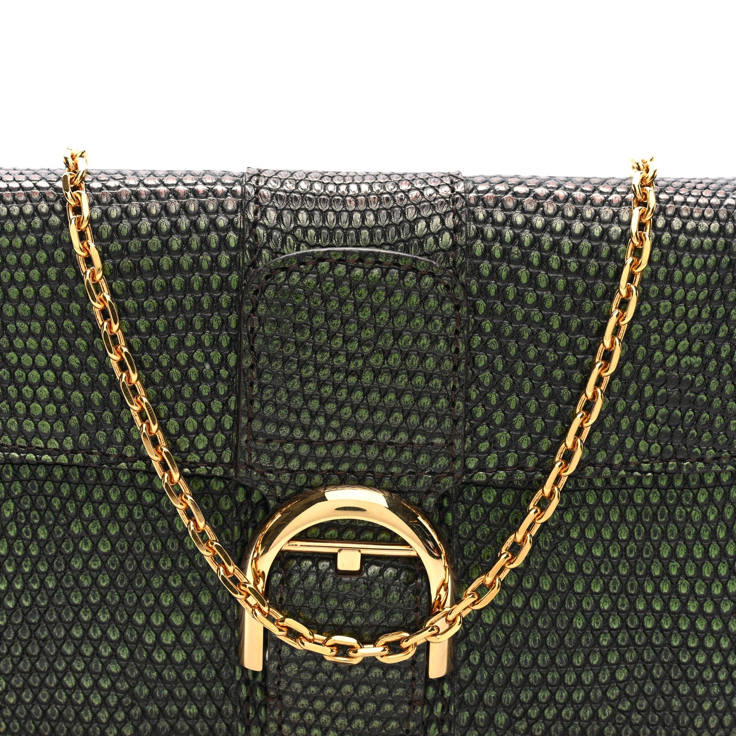Delvaux Iridescent Lizard Calfskin Brillant Wallet On Chain Ebene Kaki 7 of 9