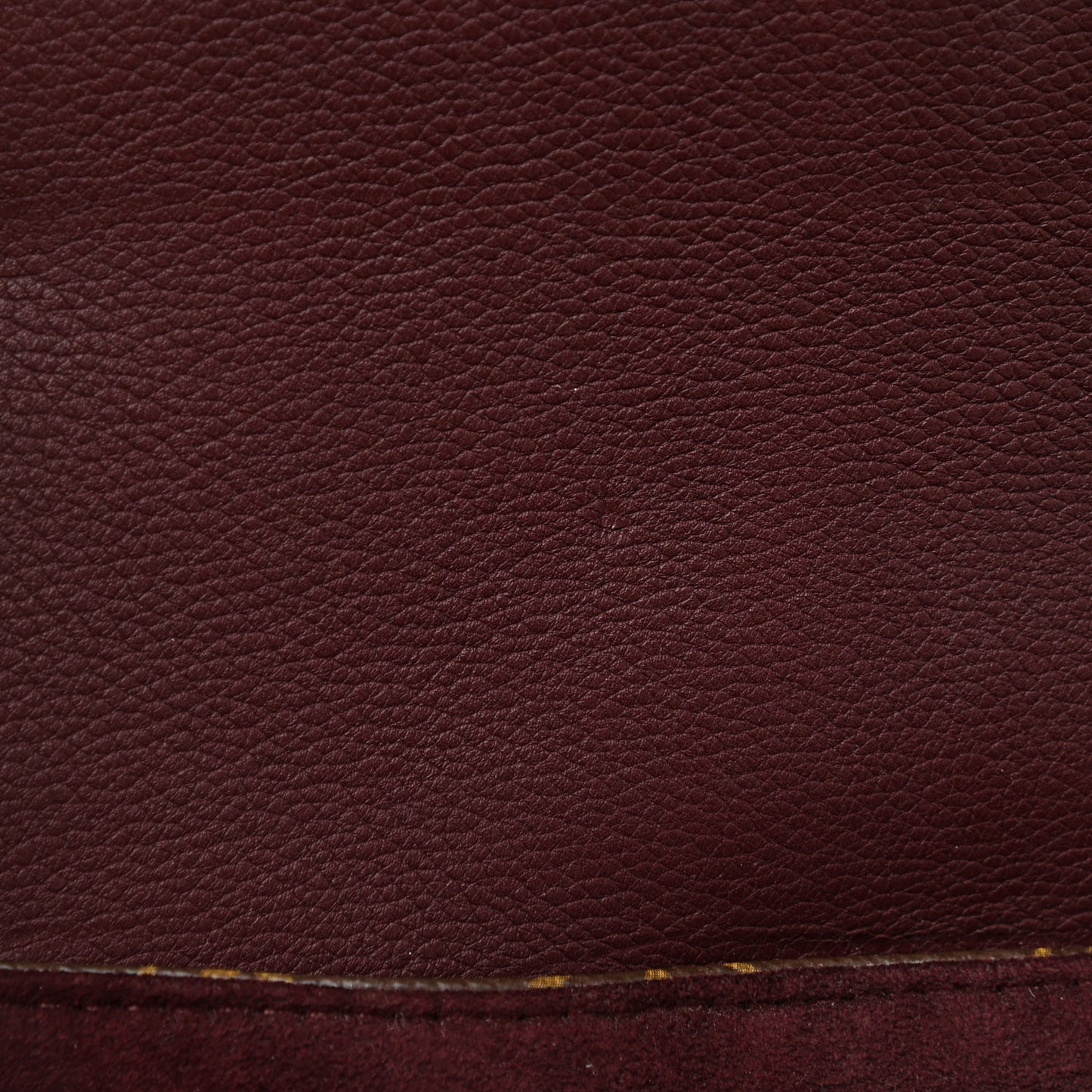 Monogram Eden MM Bordeaux