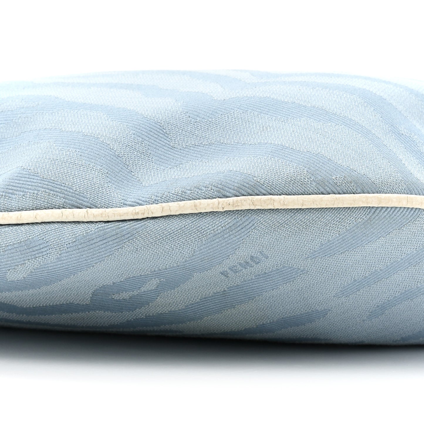 Canvas Zebra Print Small Oyster Celeste