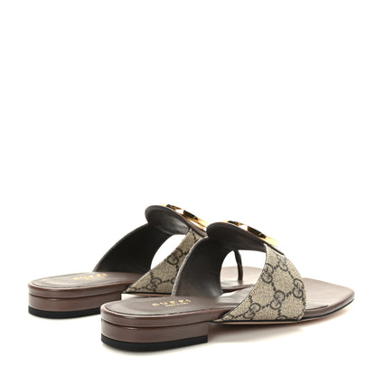 Gucci GG Supreme Monogram Malaga Kid Blondie Thong Sandals 37 Beige Ebony New Acero 4 of 8