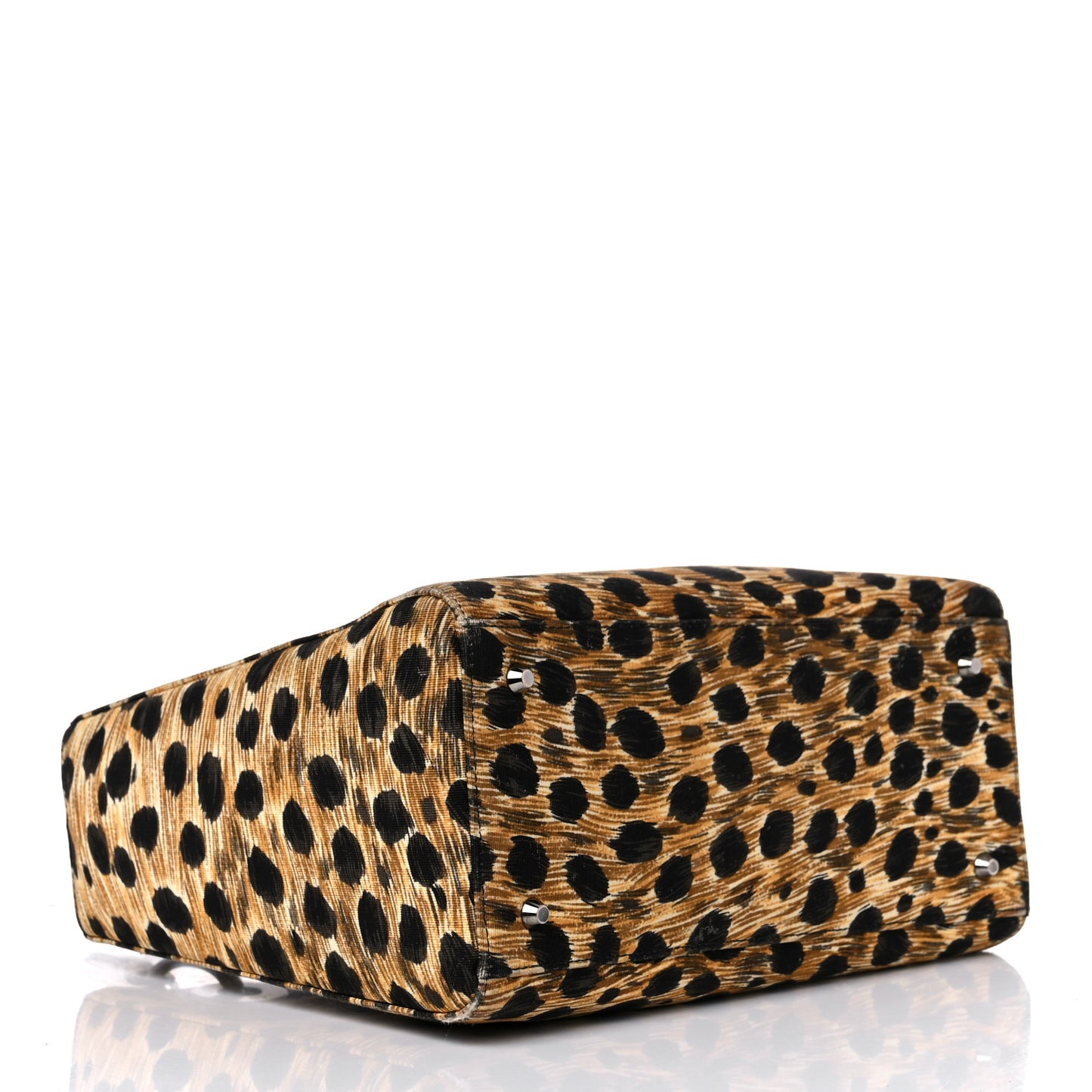 Canvas Leopard Print Medium Lady Dior