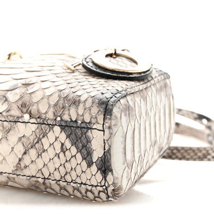 Christian Dior Snakeskin Micro Lady D-Joy Grey 9 of 9