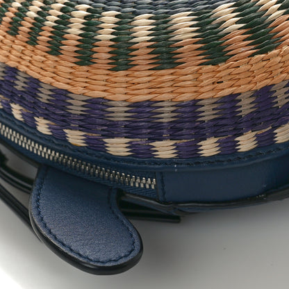Loewe Raffia Calfskin Paula's Ibiza Turtle Pouch Ocean Multicolor 9 of 13