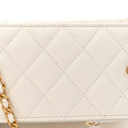 Chanel Lambskin Quilted Pearl Crush Small Vanity Case With Chain White 11 of 12
