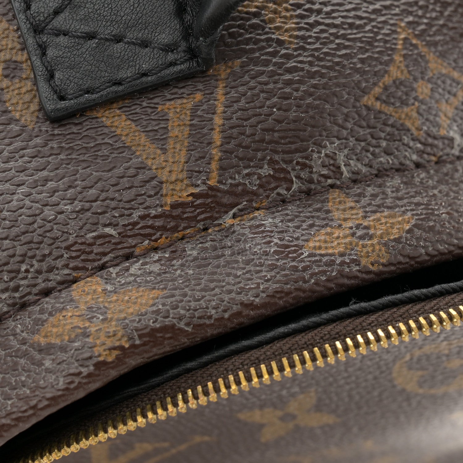 Louis Vuitton Monogram Palm Springs Backpack Mini 12 of 14