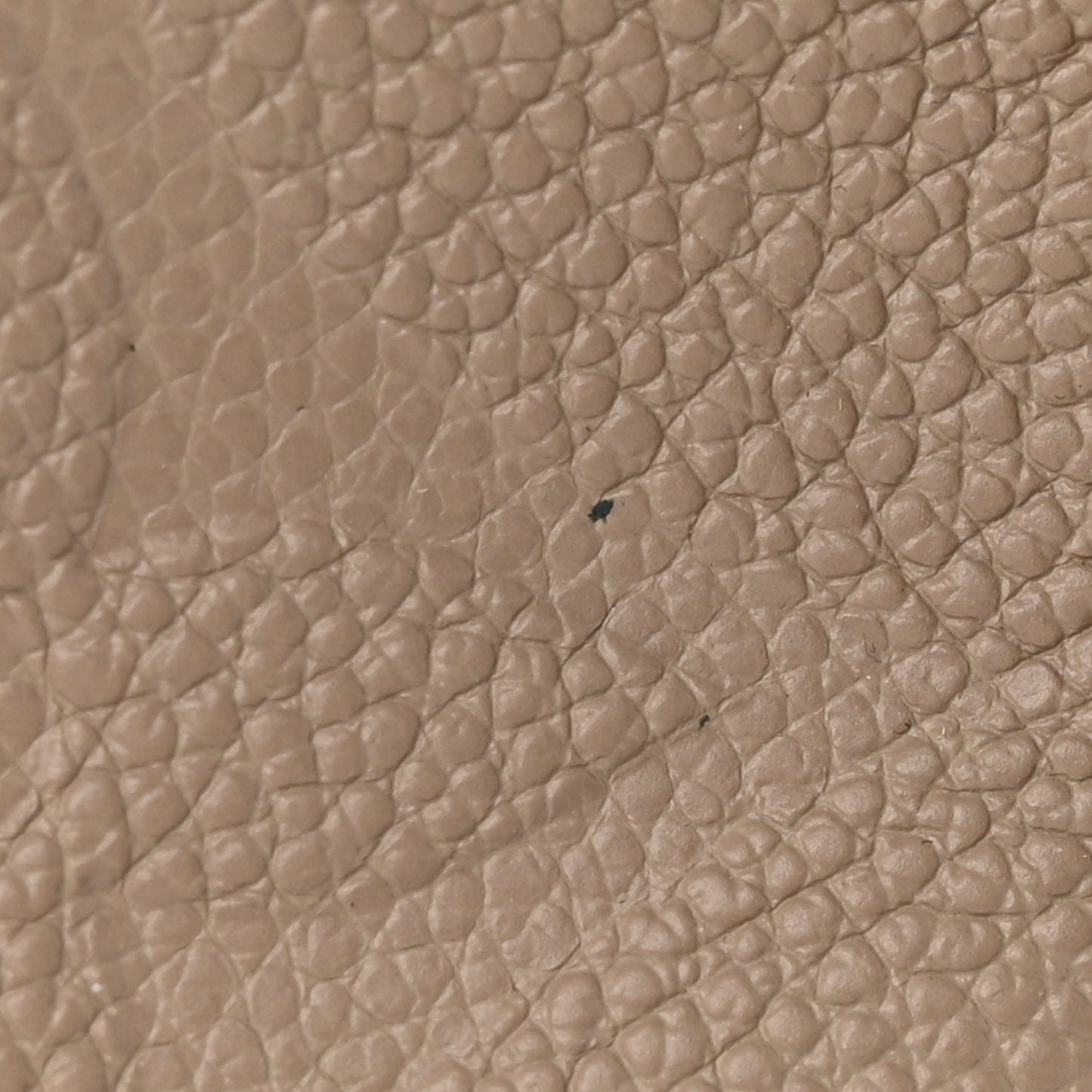 Empreinte Monogram Giant Speedy Bandouliere 25 Tourterelle