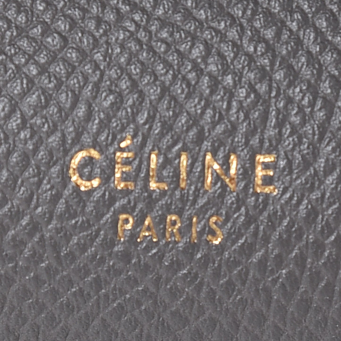 Grained Calfskin Nano Belt Bag Grey