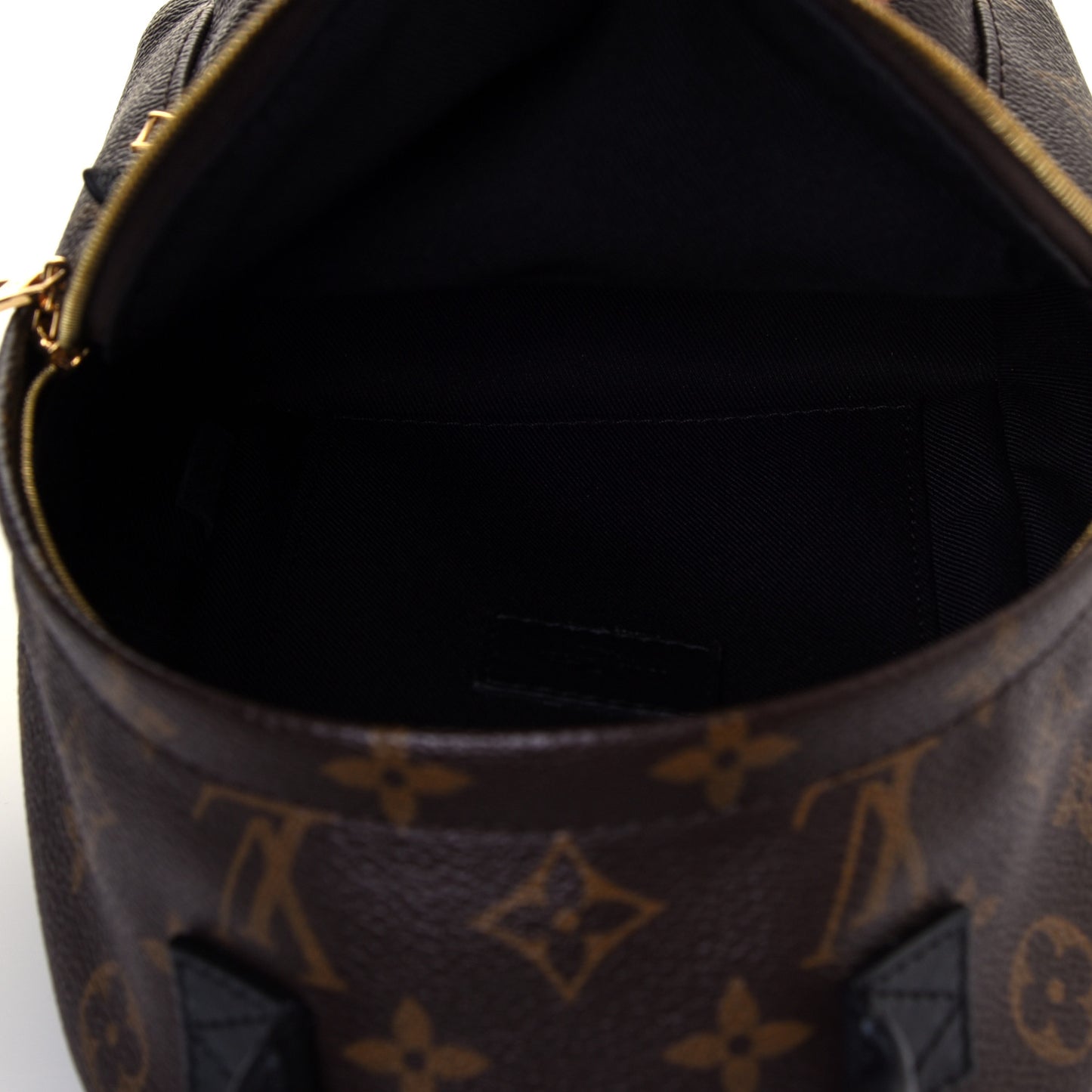 Monogram Palm Springs Backpack Mini