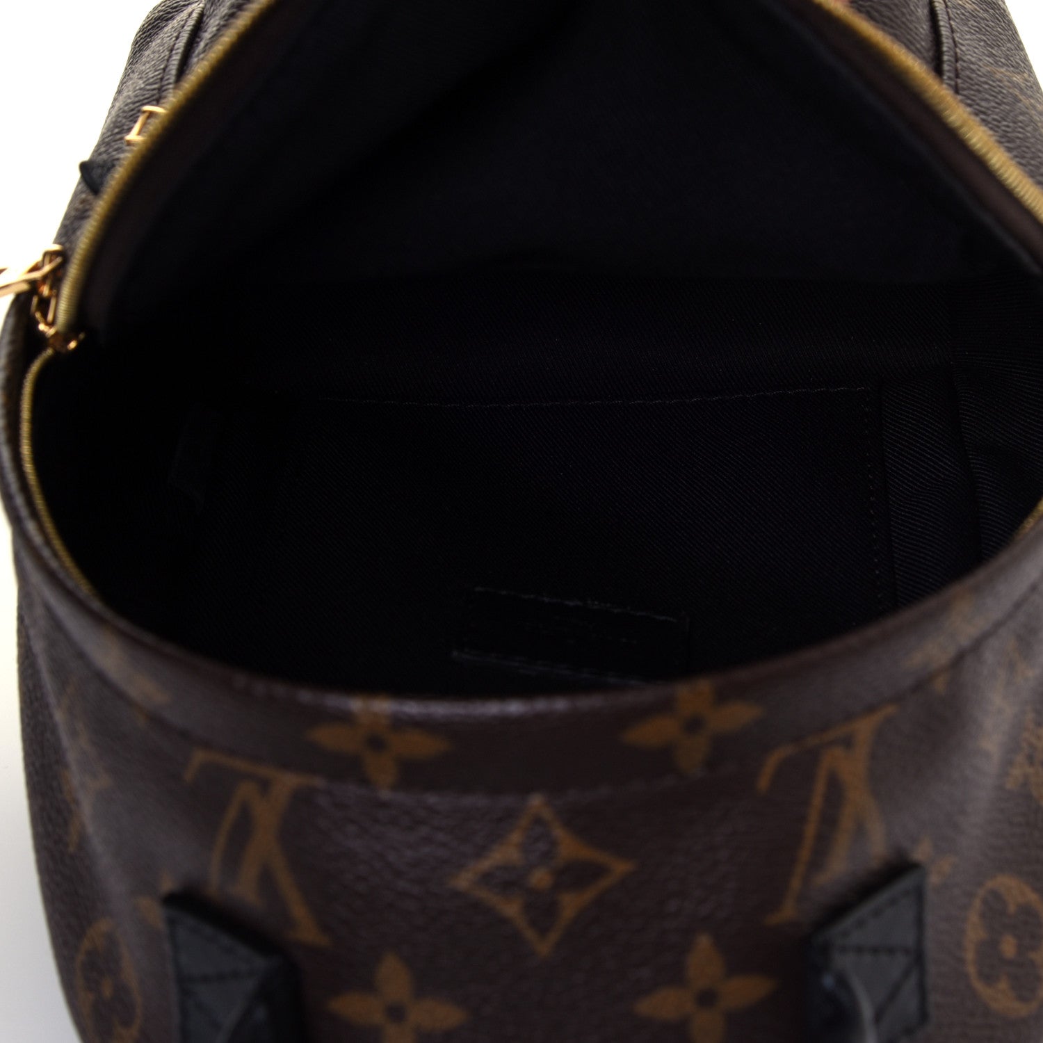 Louis Vuitton Monogram Palm Springs Backpack Mini 4 of 12