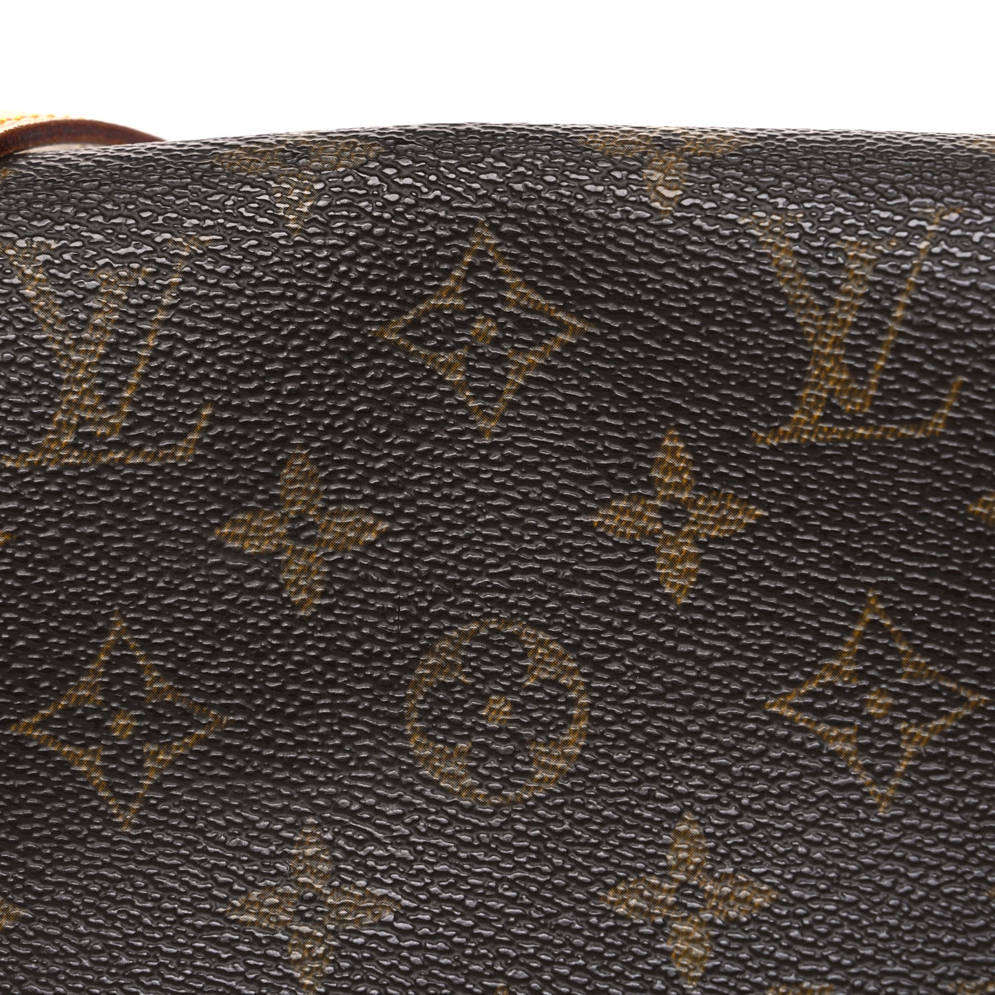 Monogram Musette Salsa