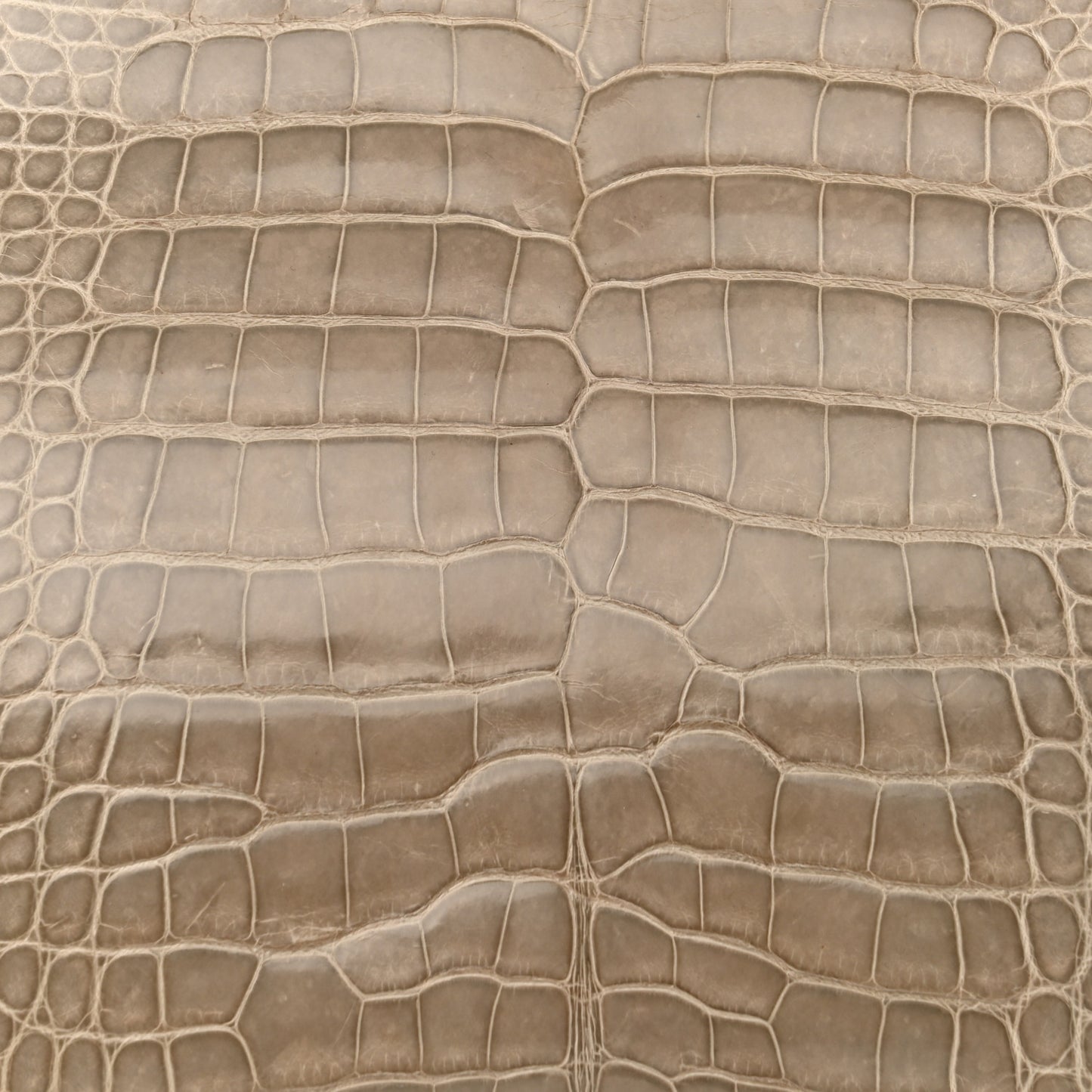 Crocodile Velvet Frame Bag Purple