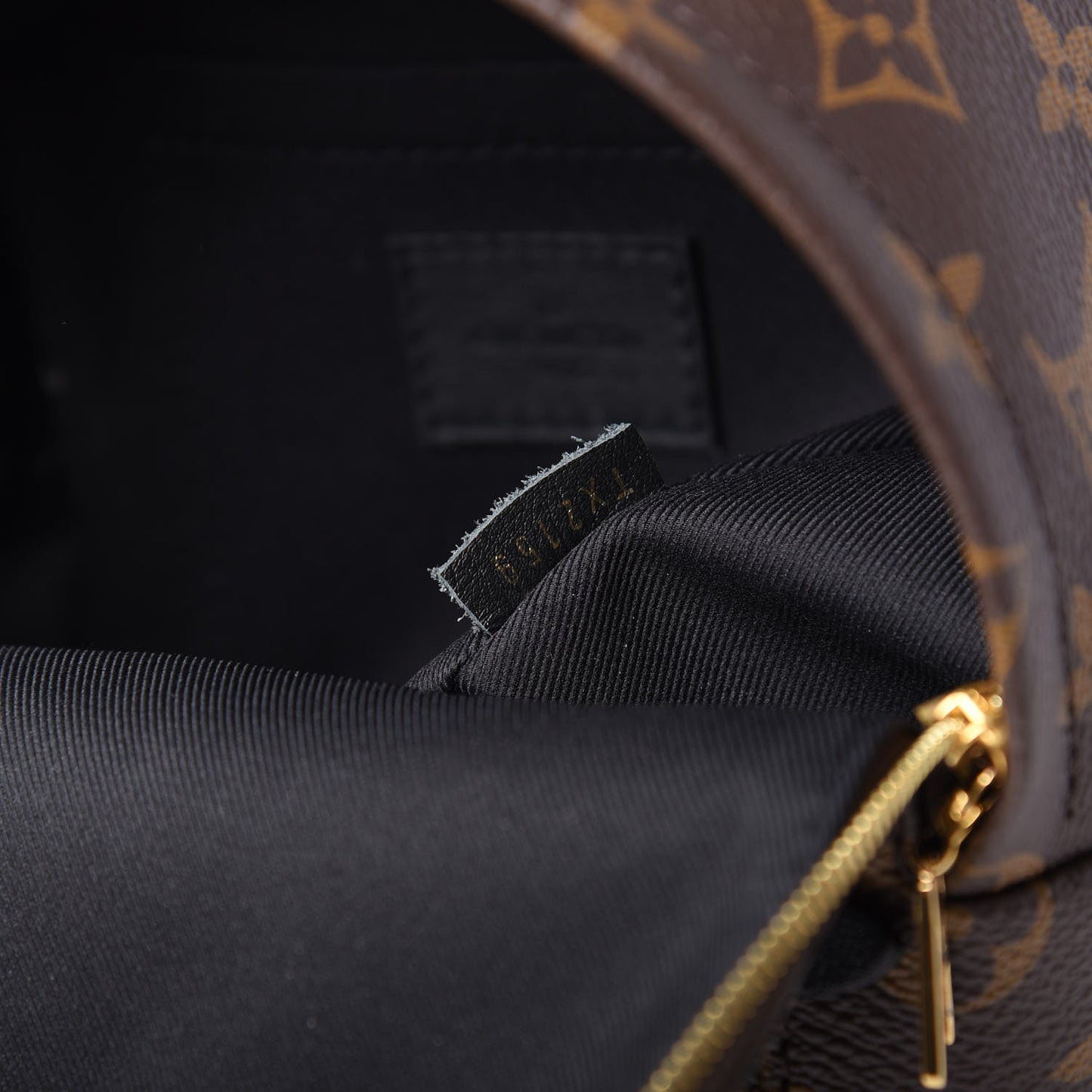 Monogram Palm Springs Backpack Mini