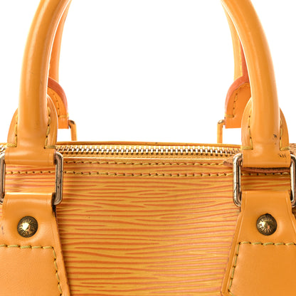 Louis Vuitton Epi Speedy 25 Tassil 8 of 10