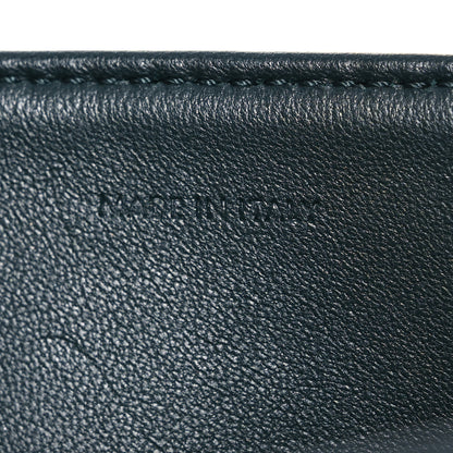 Celine Shiny Calfskin Medium Triomphe Amazone 9 of 18