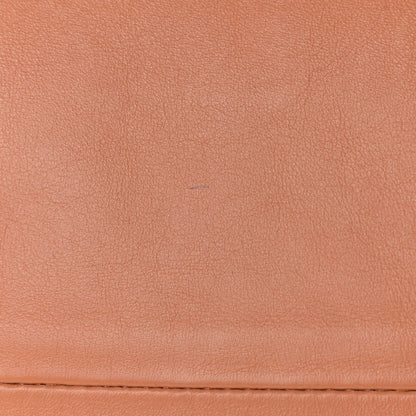 Bottega Veneta Calfskin The Pouch Chain Clay 18 of 19