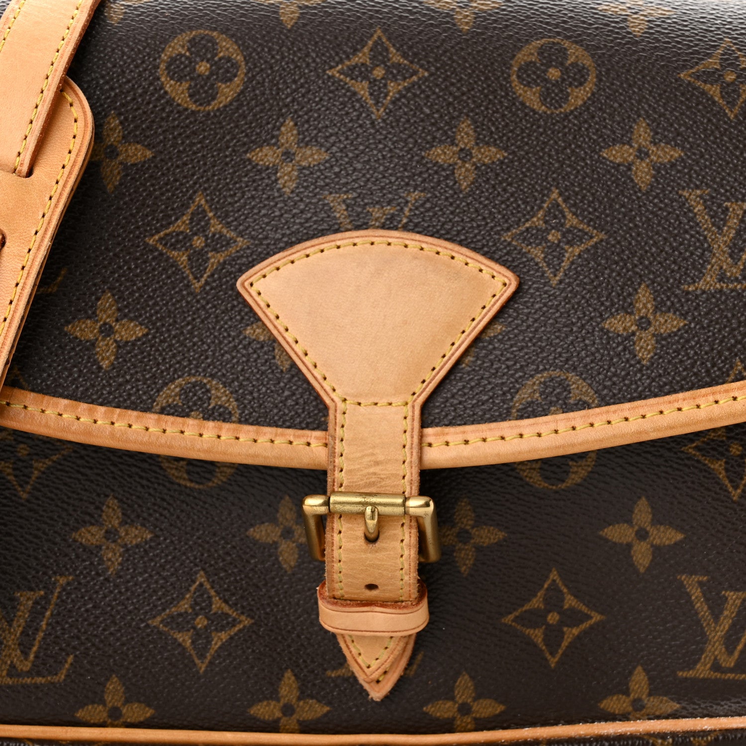 Louis Vuitton Monogram Sologne 7 of 9