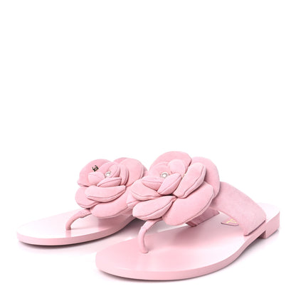 Chanel Suede Pearl Camellia Thong Sandals 37 Light Pink 4 of 8