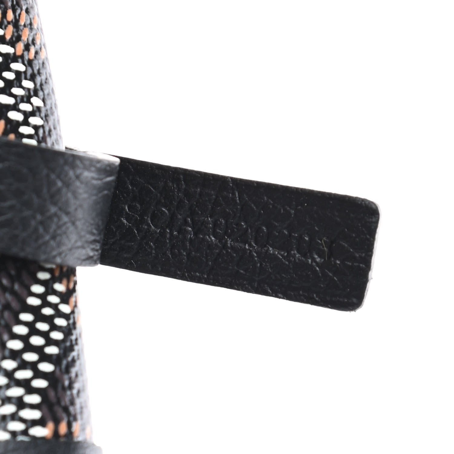 Goyard Goyardine Saint Louis PM Black 6 of 8