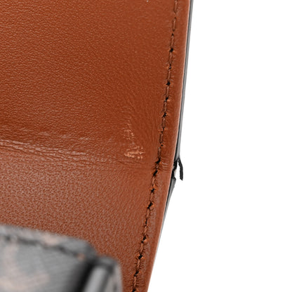 Celine Canvas Calfskin Triomphe Box Top Handle Bag Tan 10 of 10