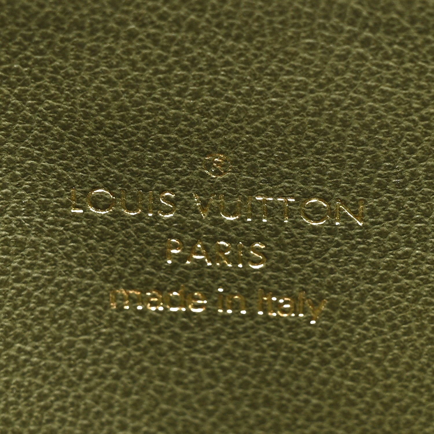 Louis Vuitton Lambskin Embossed Monogram Coussin PM Beige Cream 8 of 11