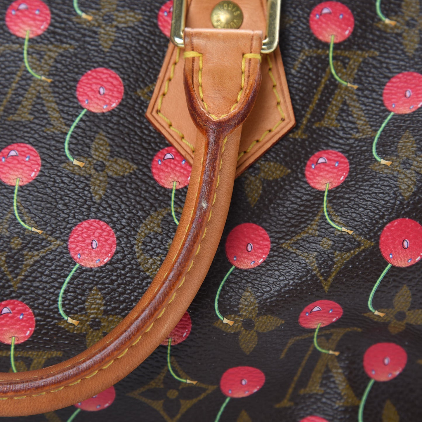 Monogram Cerises Speedy 25