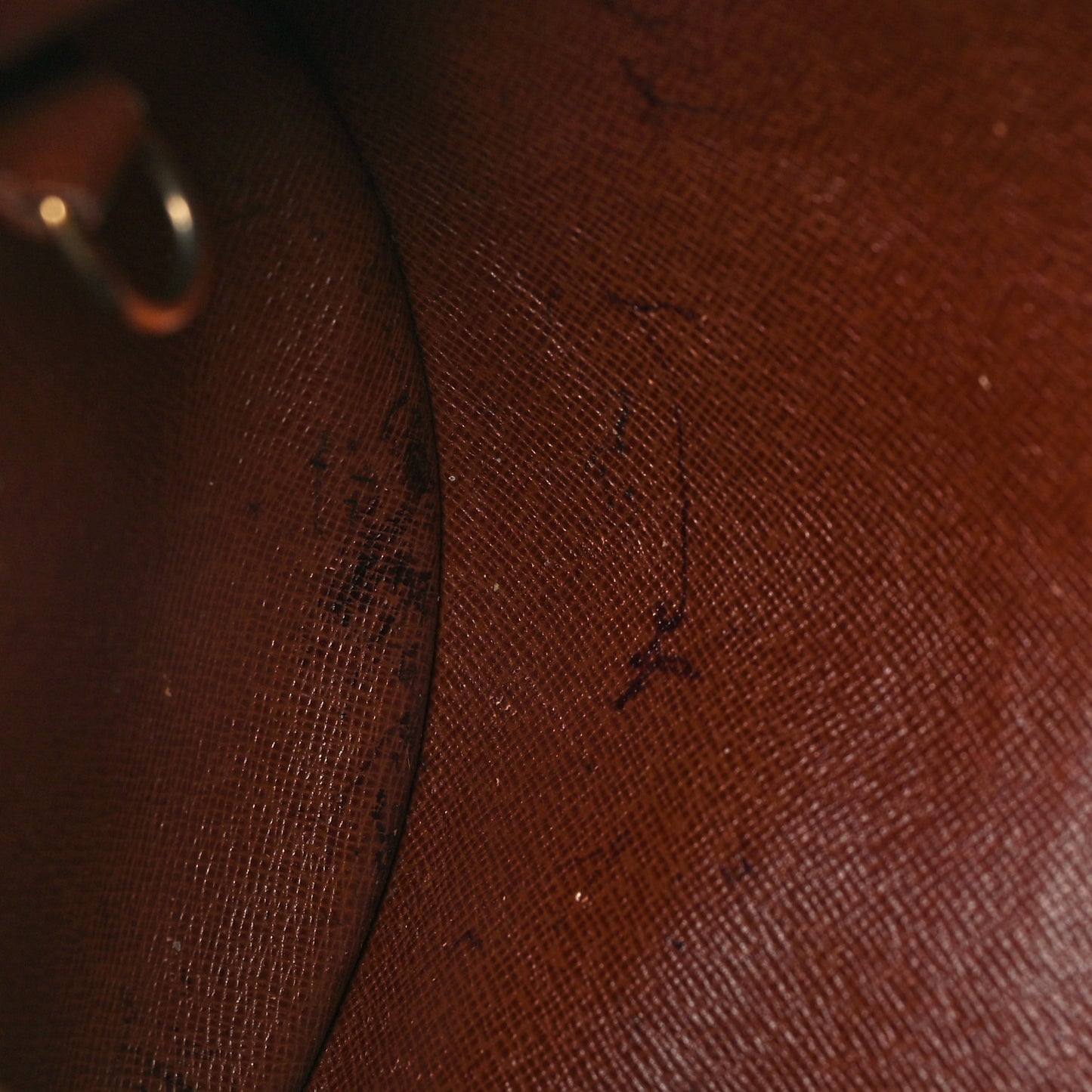 Monogram Papillon 30