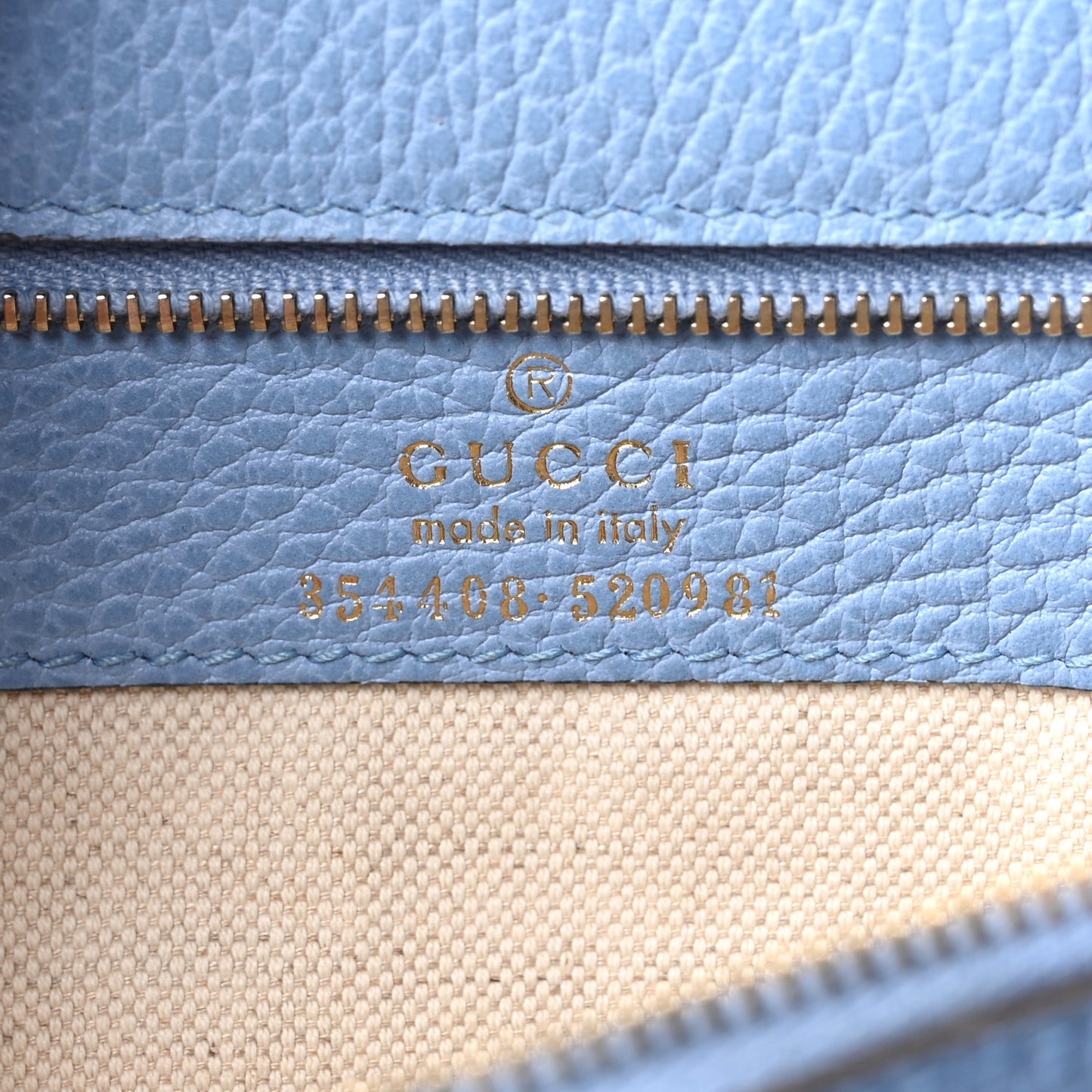 Dollar Calfskin Small Swing Tote Camelia Mineral Blue