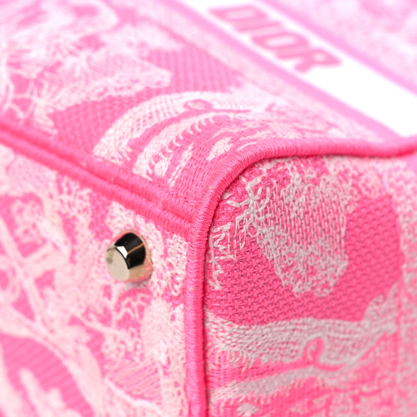 Canvas Toile De Jouy Reverse Embroidered Medium Lady D-Lite Fluorescent Pink
