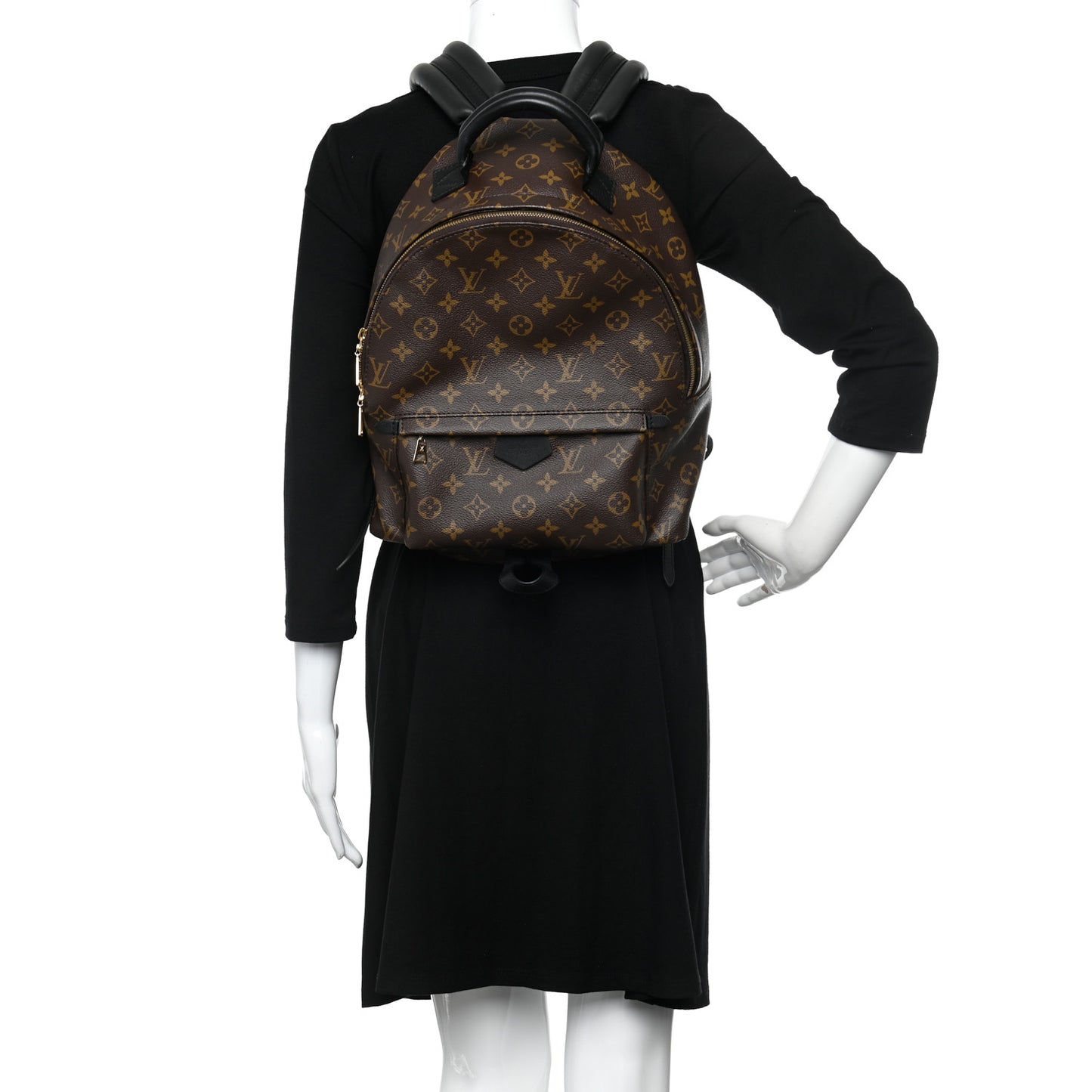 Monogram Palm Springs Backpack MM