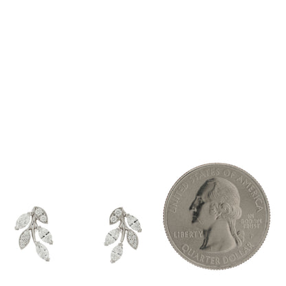 Tiffany Platinum Diamond Small Victoria Vine Earrings 2 of 5