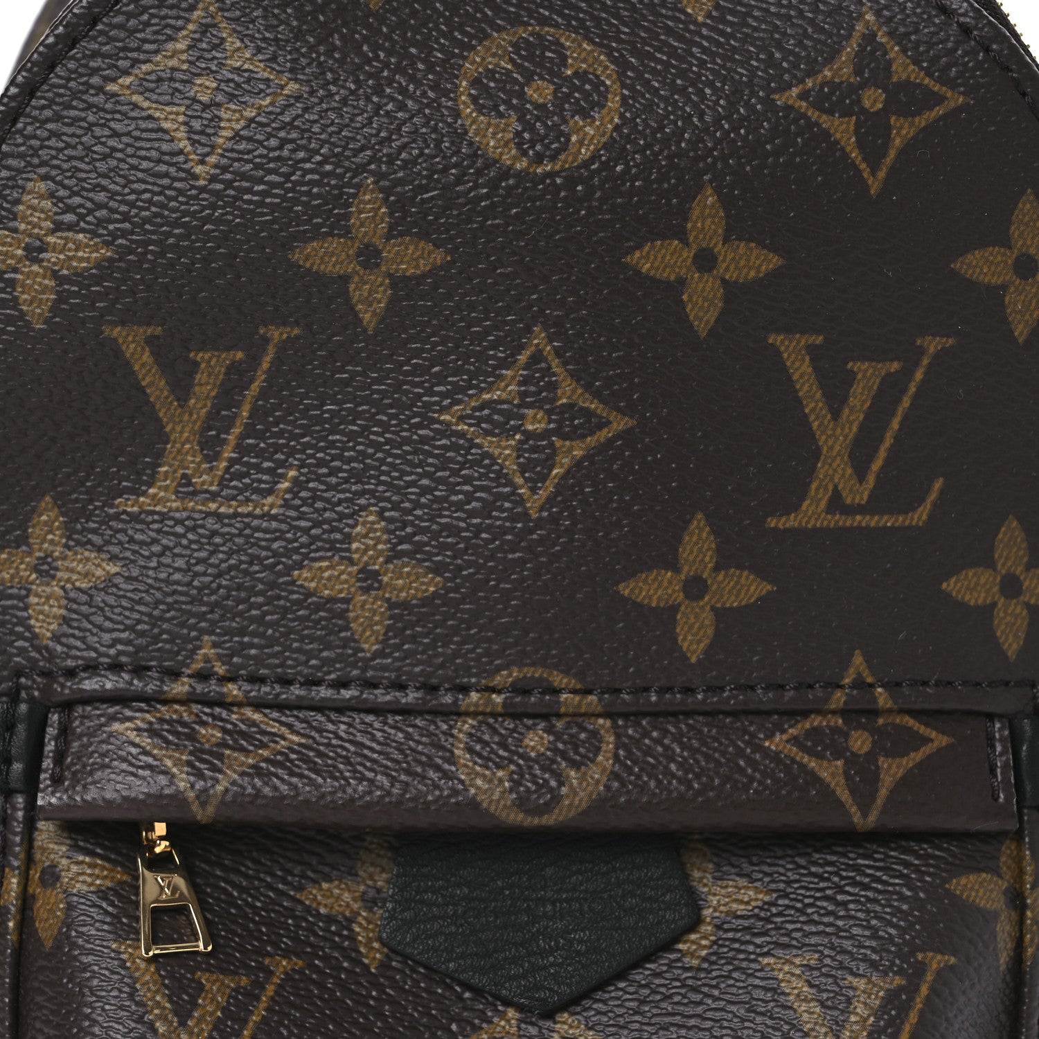 Louis Vuitton Monogram Palm Springs Backpack Mini 7 of 10