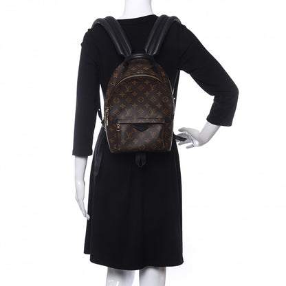 Louis Vuitton Monogram Palm Springs Backpack PM 2 of 12