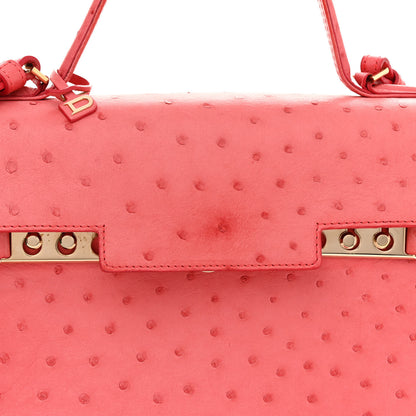 Delvaux Ostrich MM Tempete Satchel Pink 7 of 20