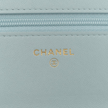 Chanel Lambskin Quilted Chanel 19 Wallet On Chain WOC Light Blue 6 of 14