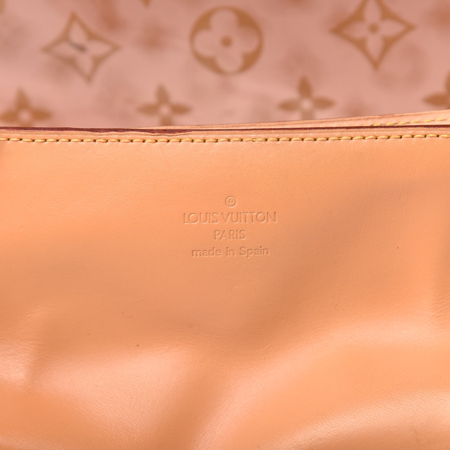 Louis Vuitton Vinyl Cabas Sac Ambre GM 9 of 12